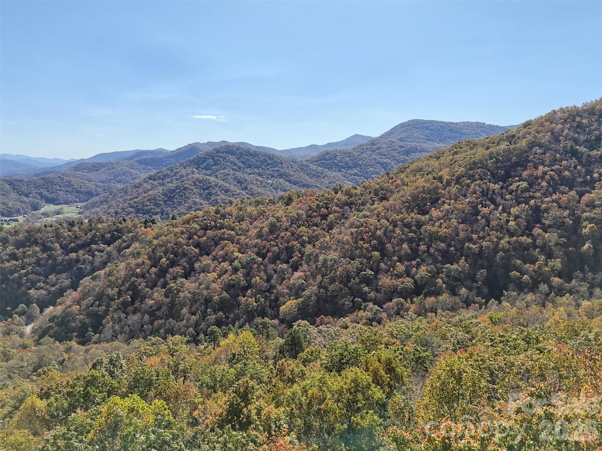 View from Housepad level - 00 Mack Luke Road, Whittier