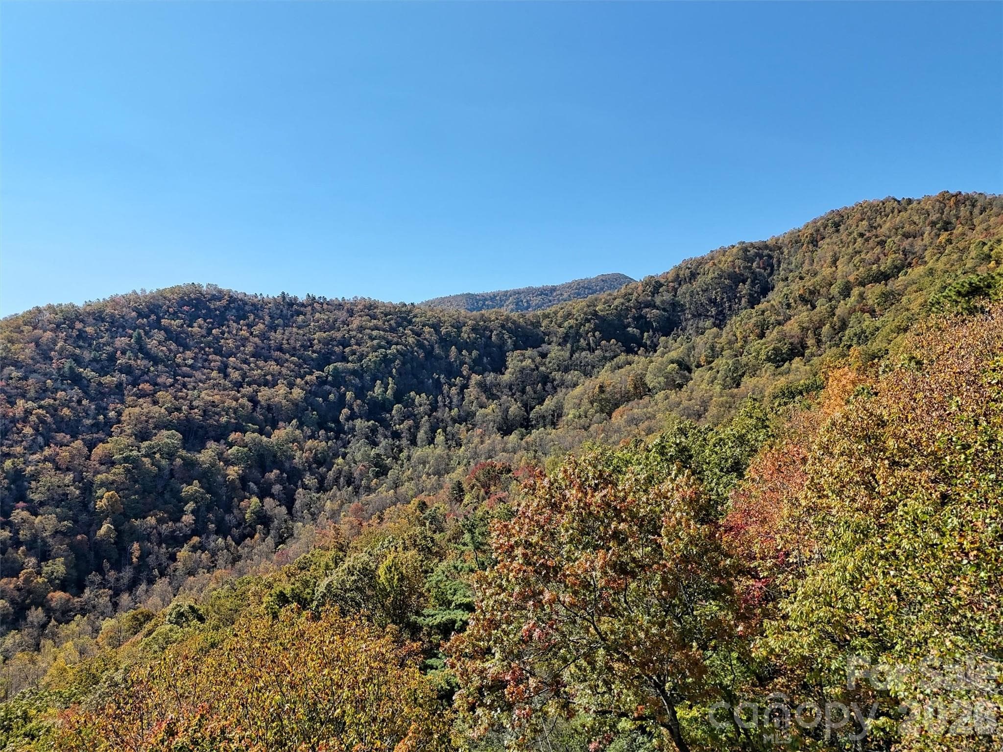 View from housepad level - 00 Mack Luke Road, Whittier