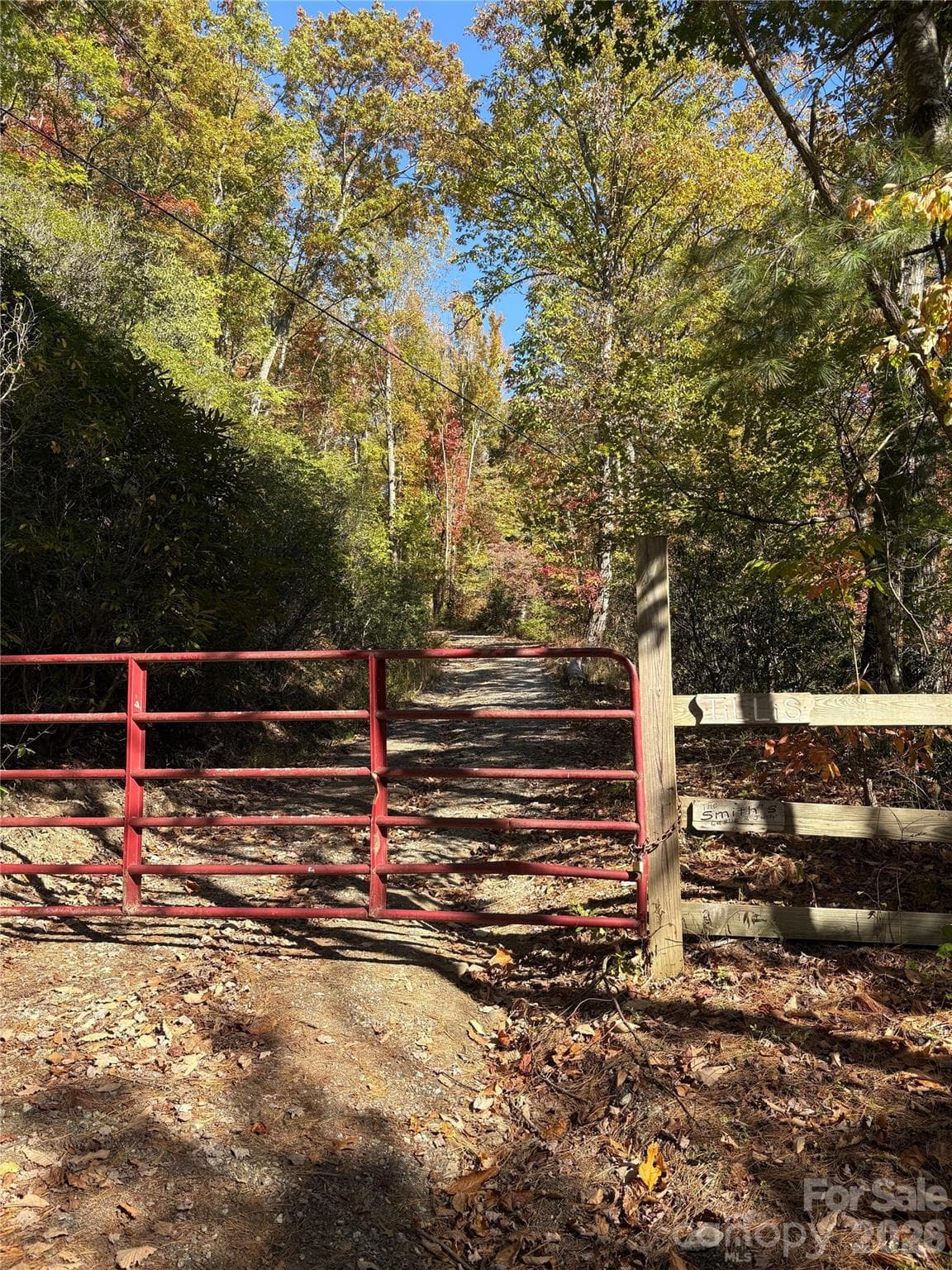 Lot at 00 Mack Luke Road, Whittier, photo 13 of 25