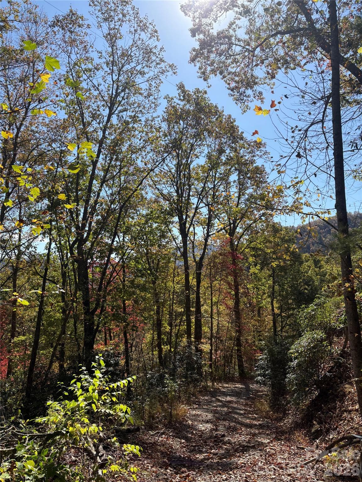 Road between lot 6 and 7 - 00 Mack Luke Road, Whittier