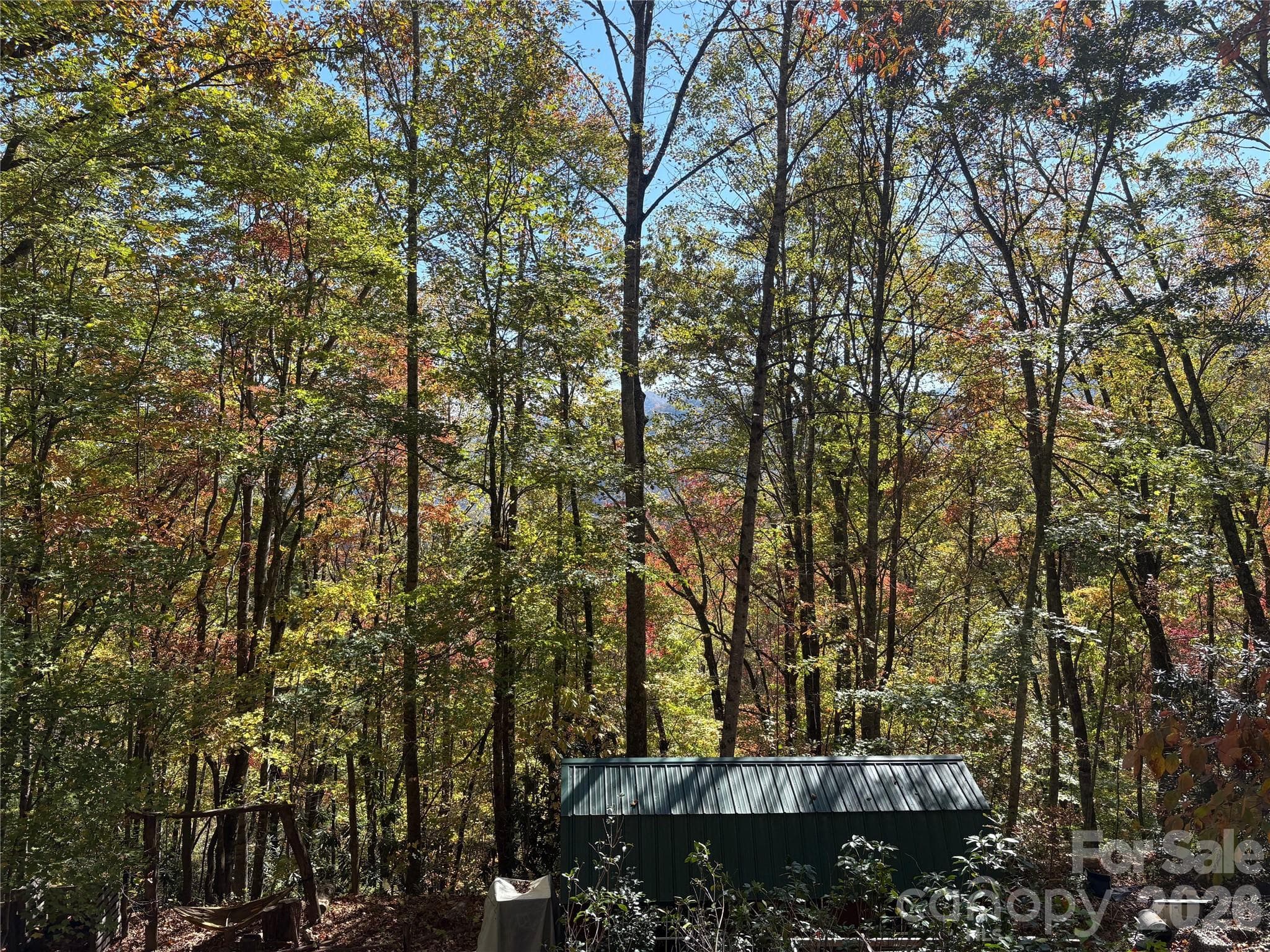 View from Lot 6 driveway down to lot 7 - 00 Mack Luke Road, Whittier
