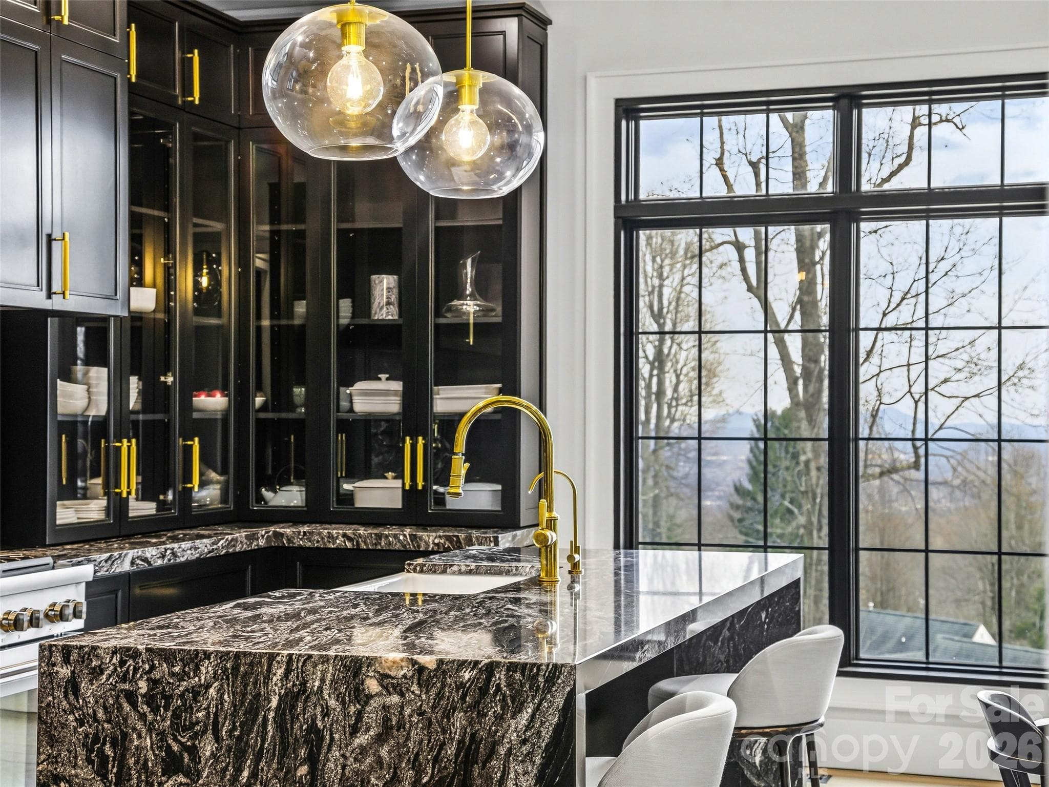 Premium finishes including waterfall marble island and glass-front cabinetry - 241 Tower Circle, Hendersonville