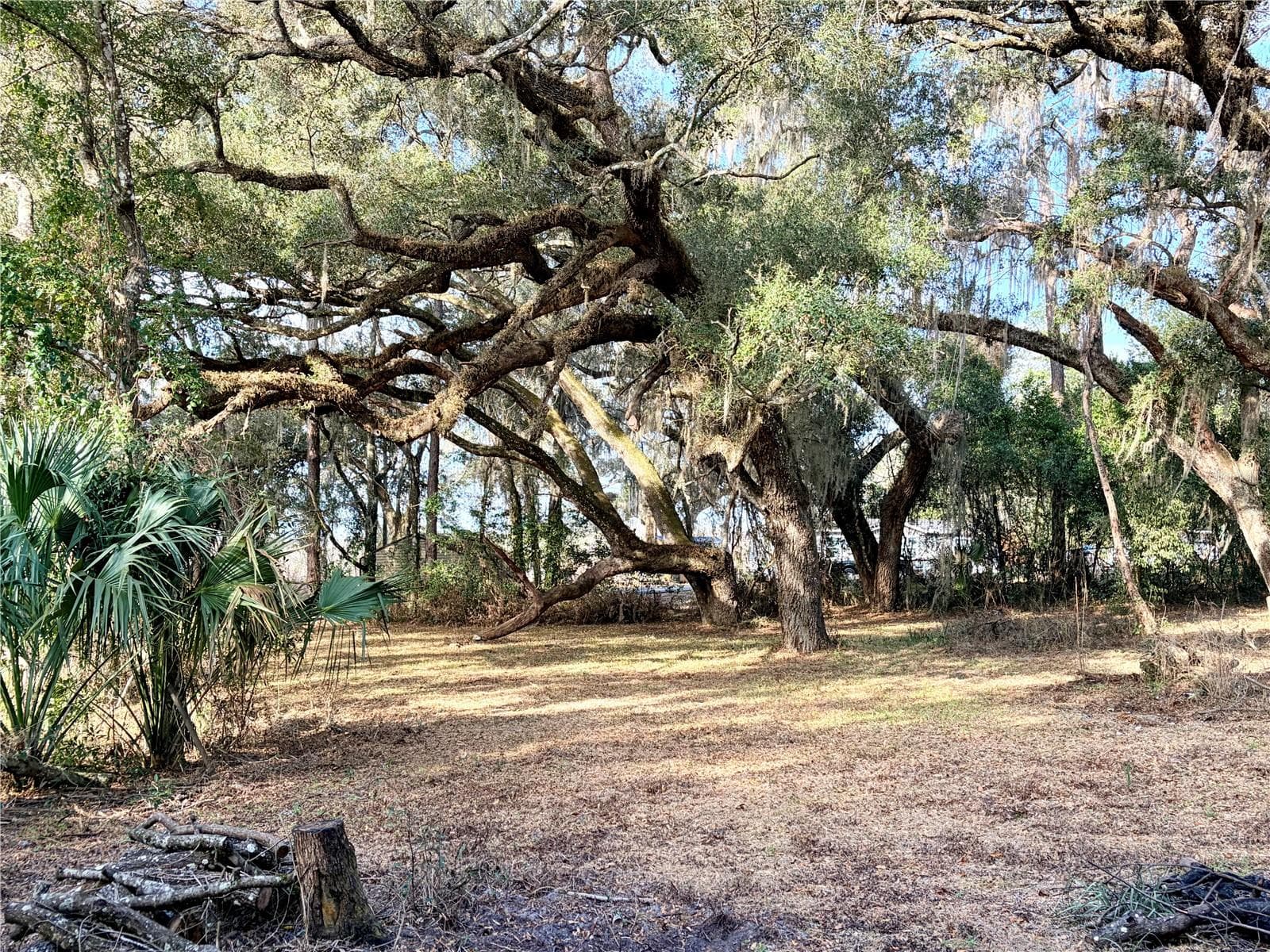 Land at 5666 S FLORIDA AVE, FLORAL CITY, photo 4 of 16