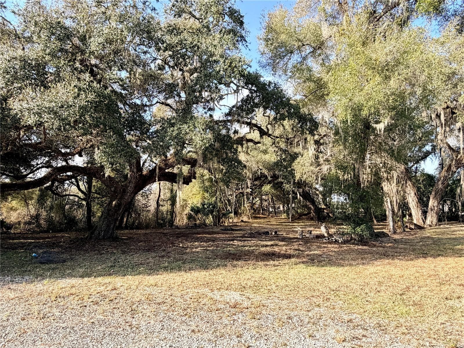 Land at 5666 S FLORIDA AVE, FLORAL CITY, photo 7 of 16