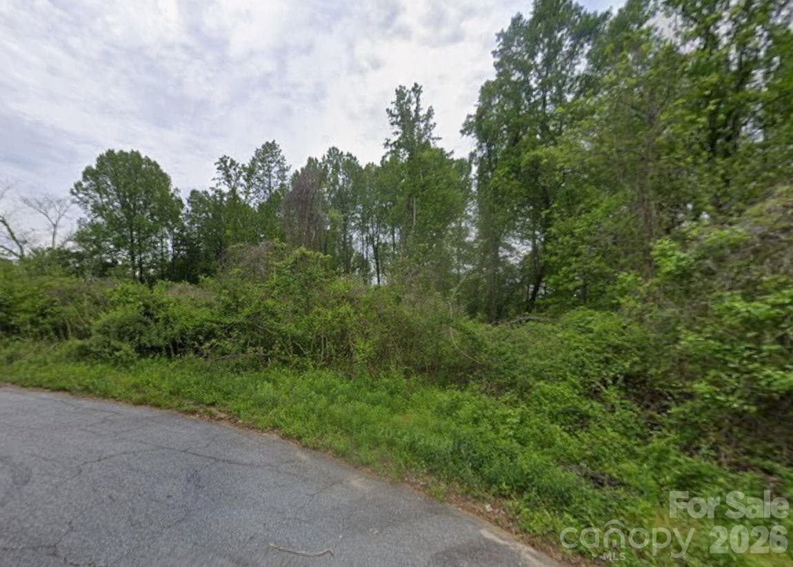 Unimproved Commercial at 16, 17, 18 16th Avenue SE, Conover, photo 8 of 8