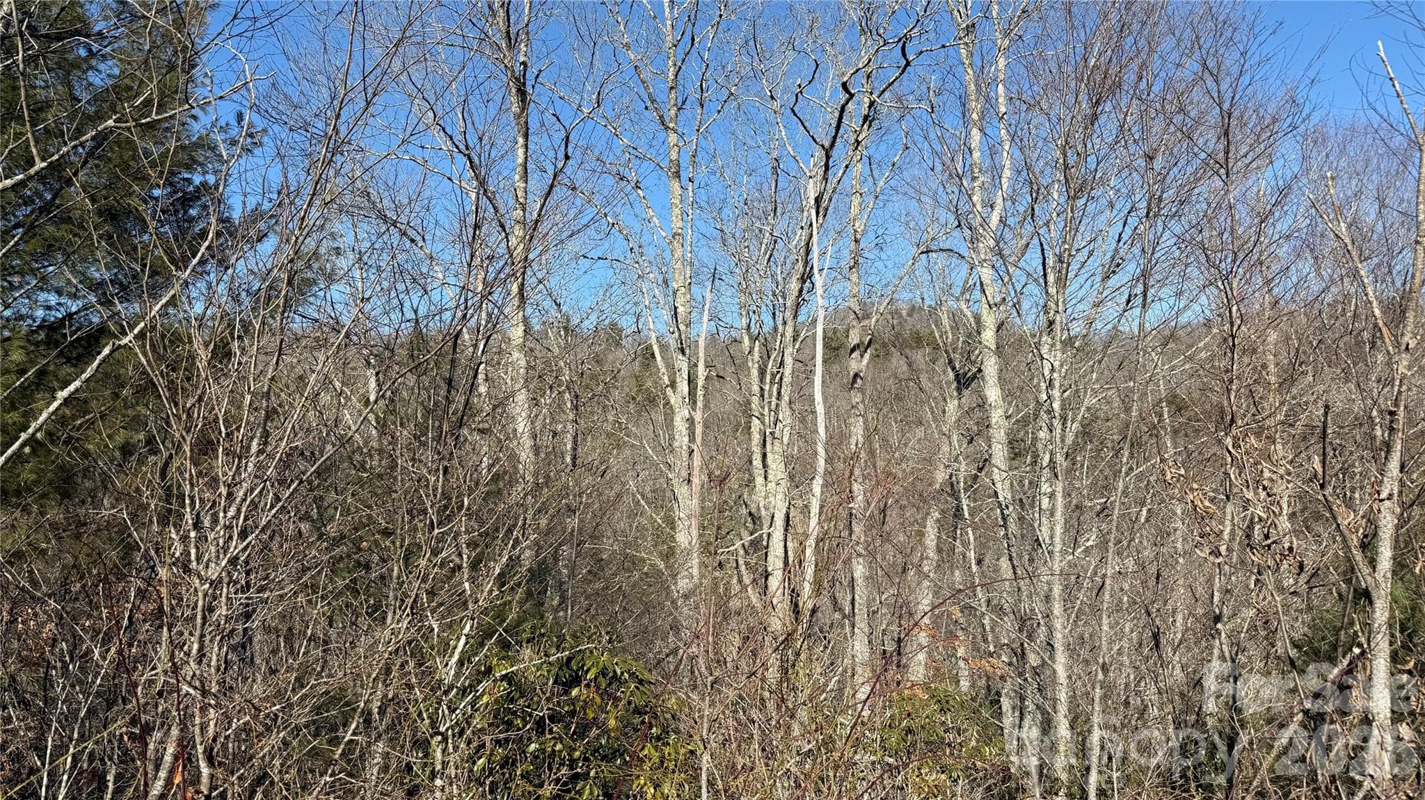 Lot at 207 Receptive Drive, Glenville, photo 15 of 27
