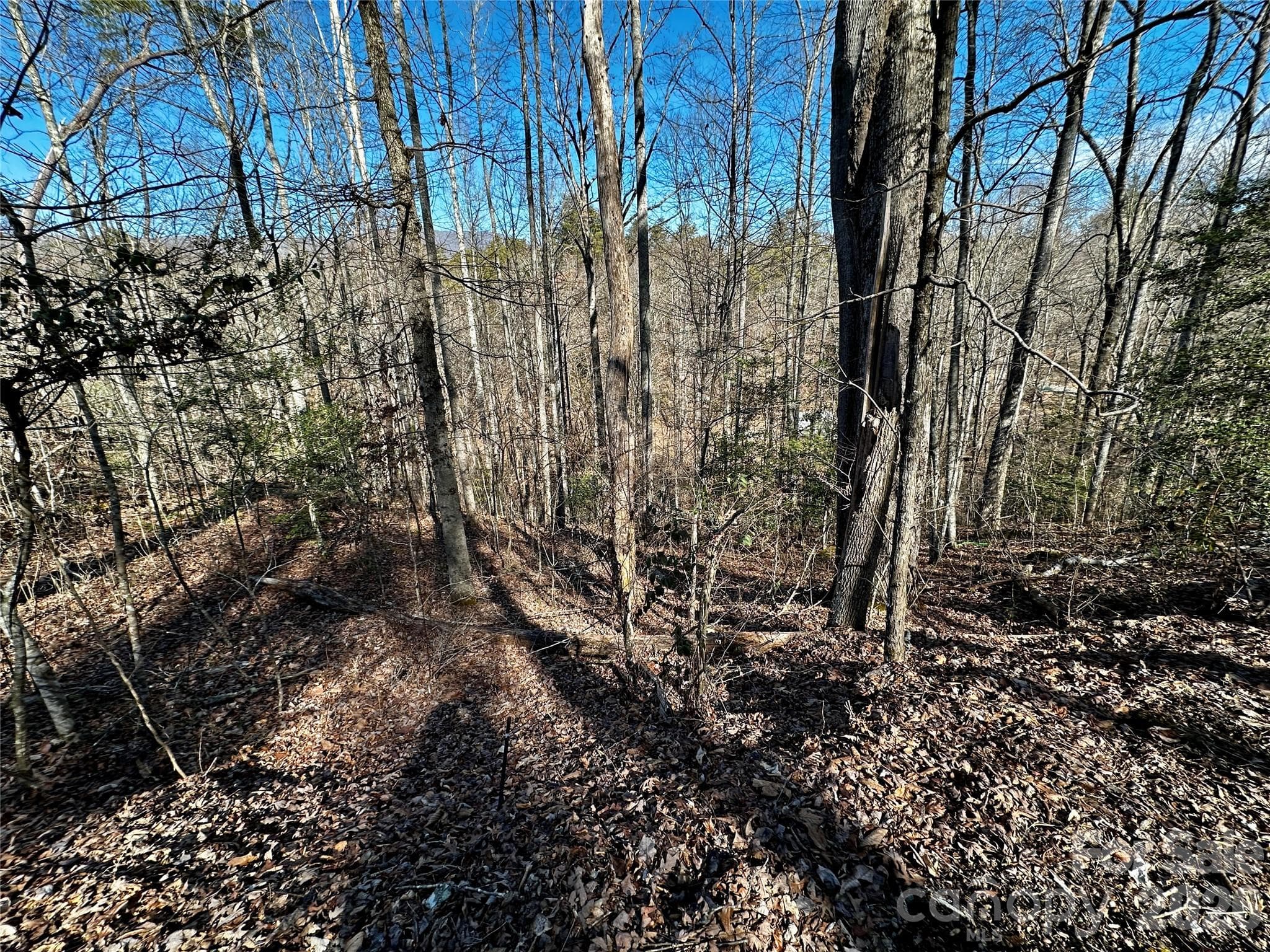 Lot 11 Blue Mist Mountain Road