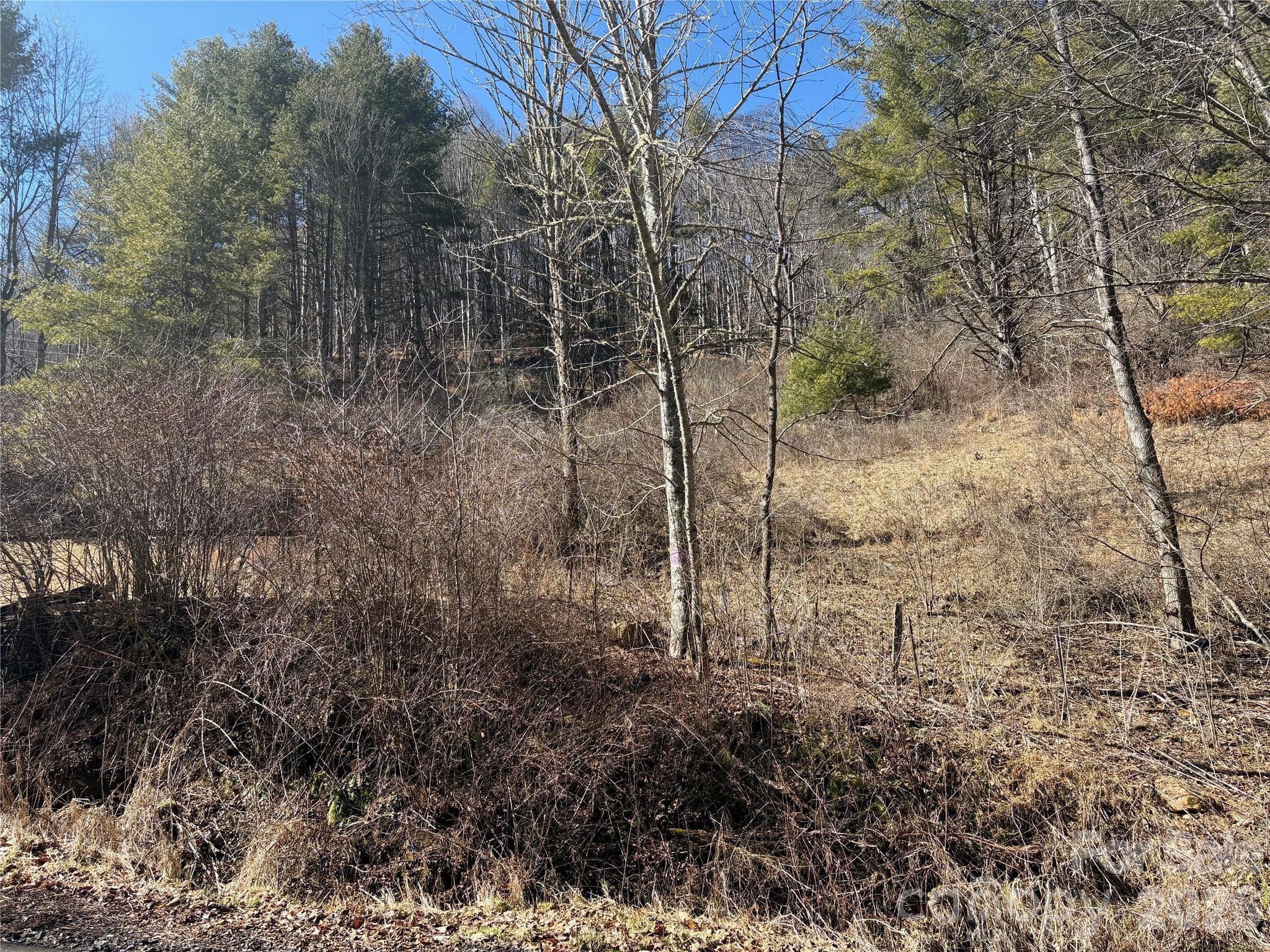 Acreage at Burnsville, photo 3 of 17