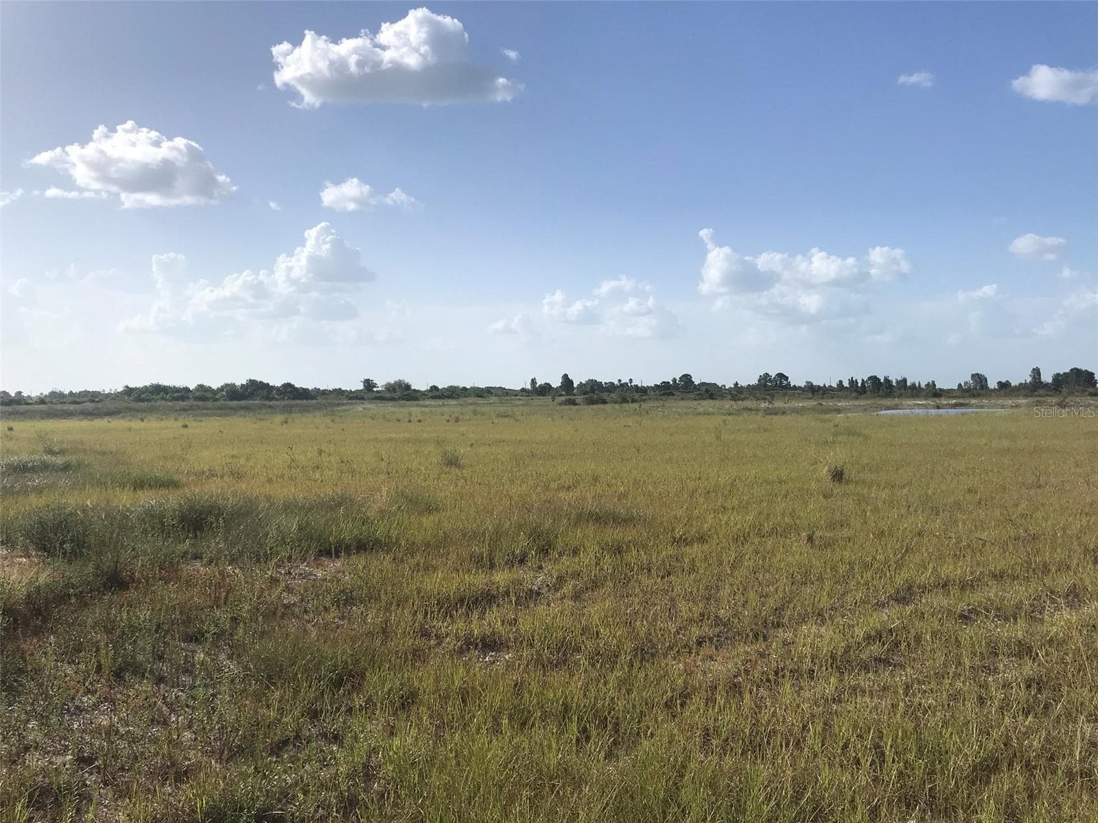 View West. - 48033 BERMONT RD, PUNTA GORDA