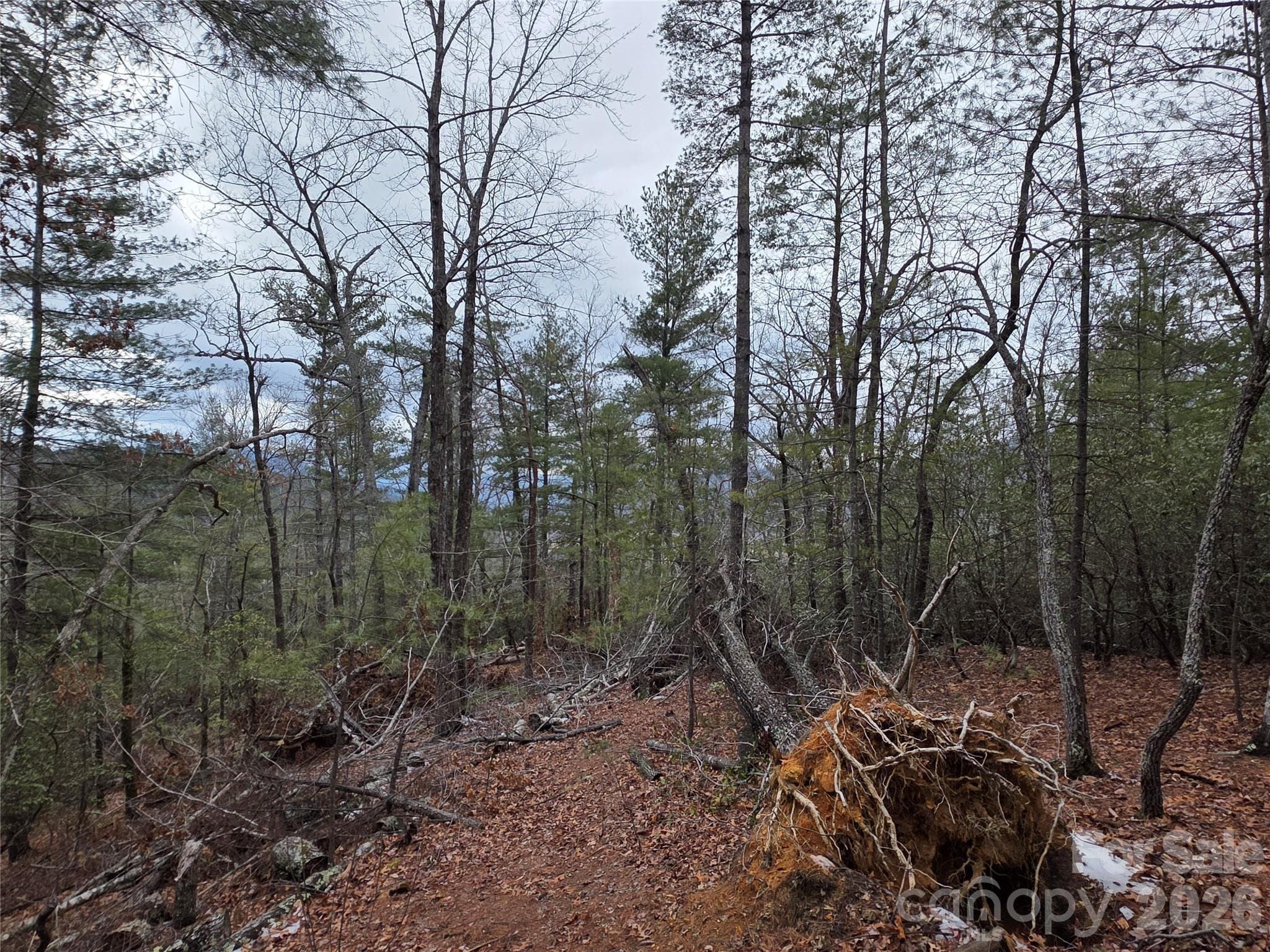 Lot at Lot 24A-28A Quail Drive, Marion, photo 8 of 12