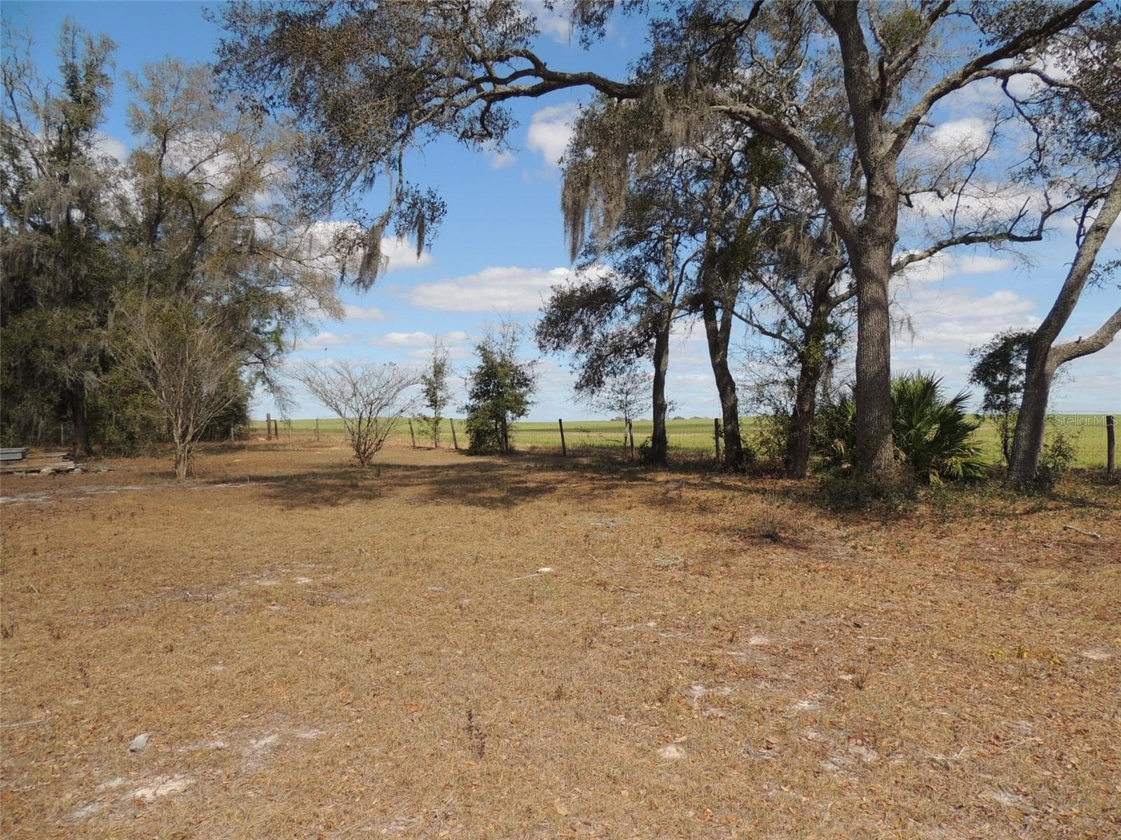 View of farm behind property - 4551 SE 138TH TER, MORRISTON