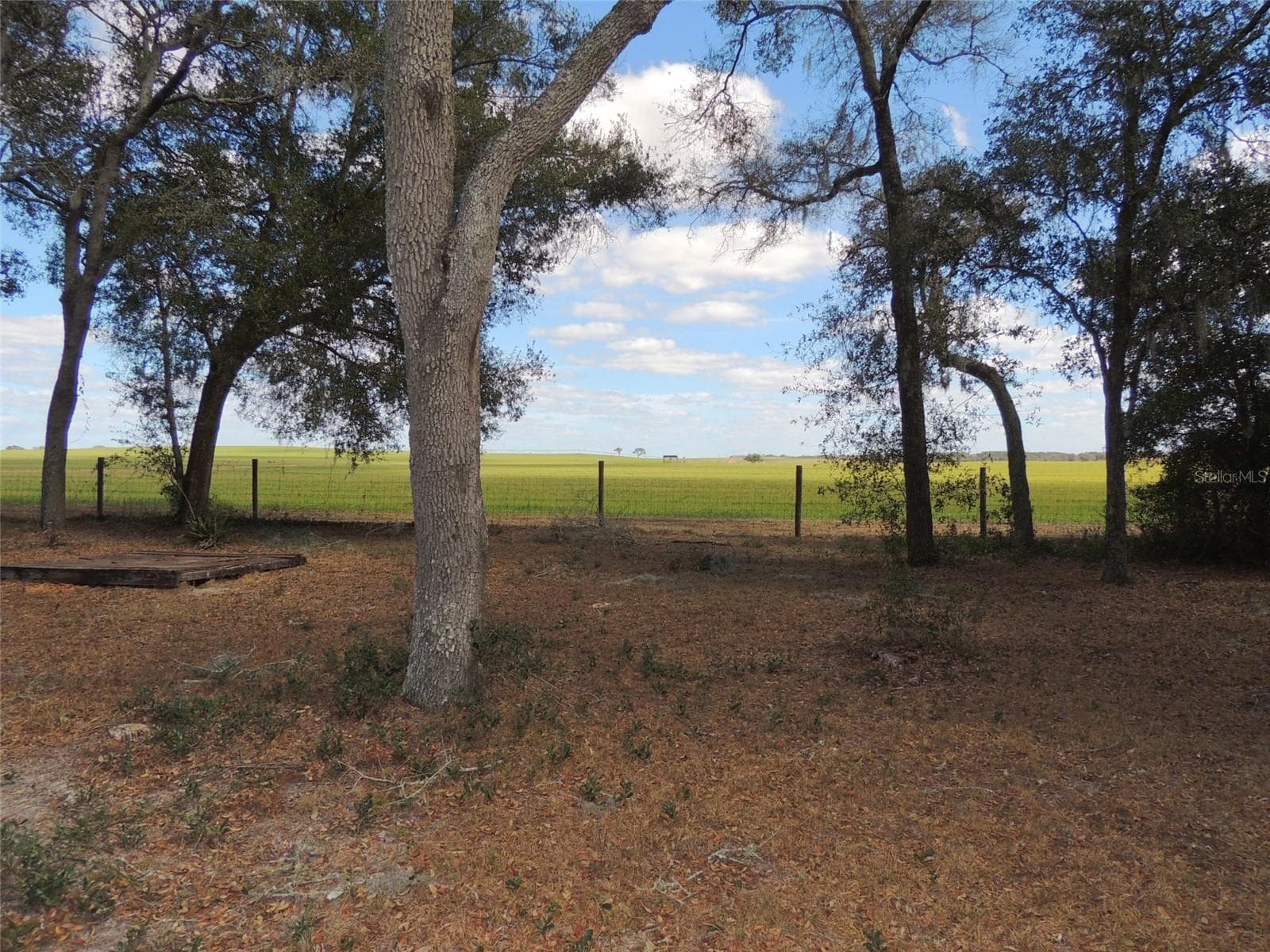 View of farm behind property - 4551 SE 138TH TER, MORRISTON