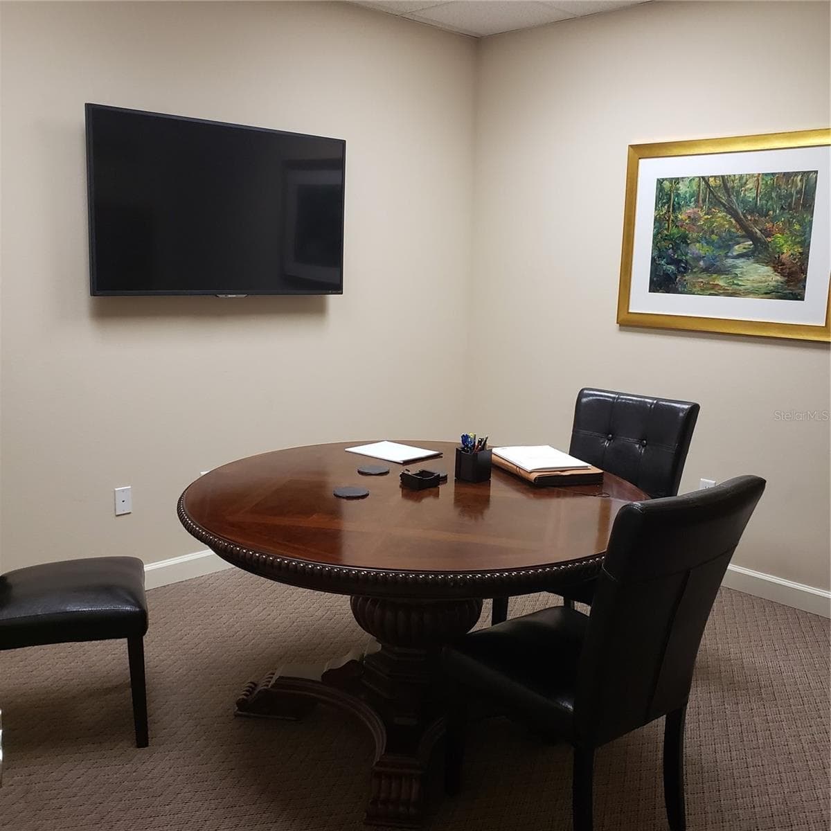 Conference Table-TV - 16013 N FLORIDA AVE, LUTZ