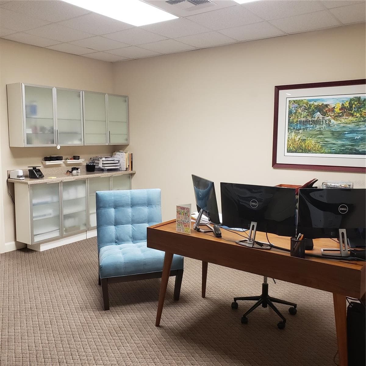 Open Area - 16013 N FLORIDA AVE, LUTZ