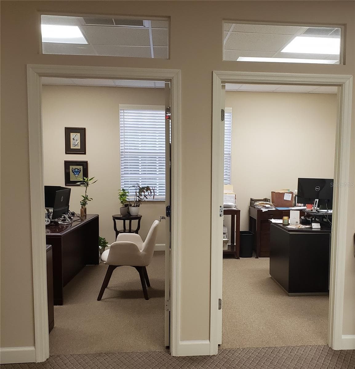 Offices - 16013 N FLORIDA AVE, LUTZ