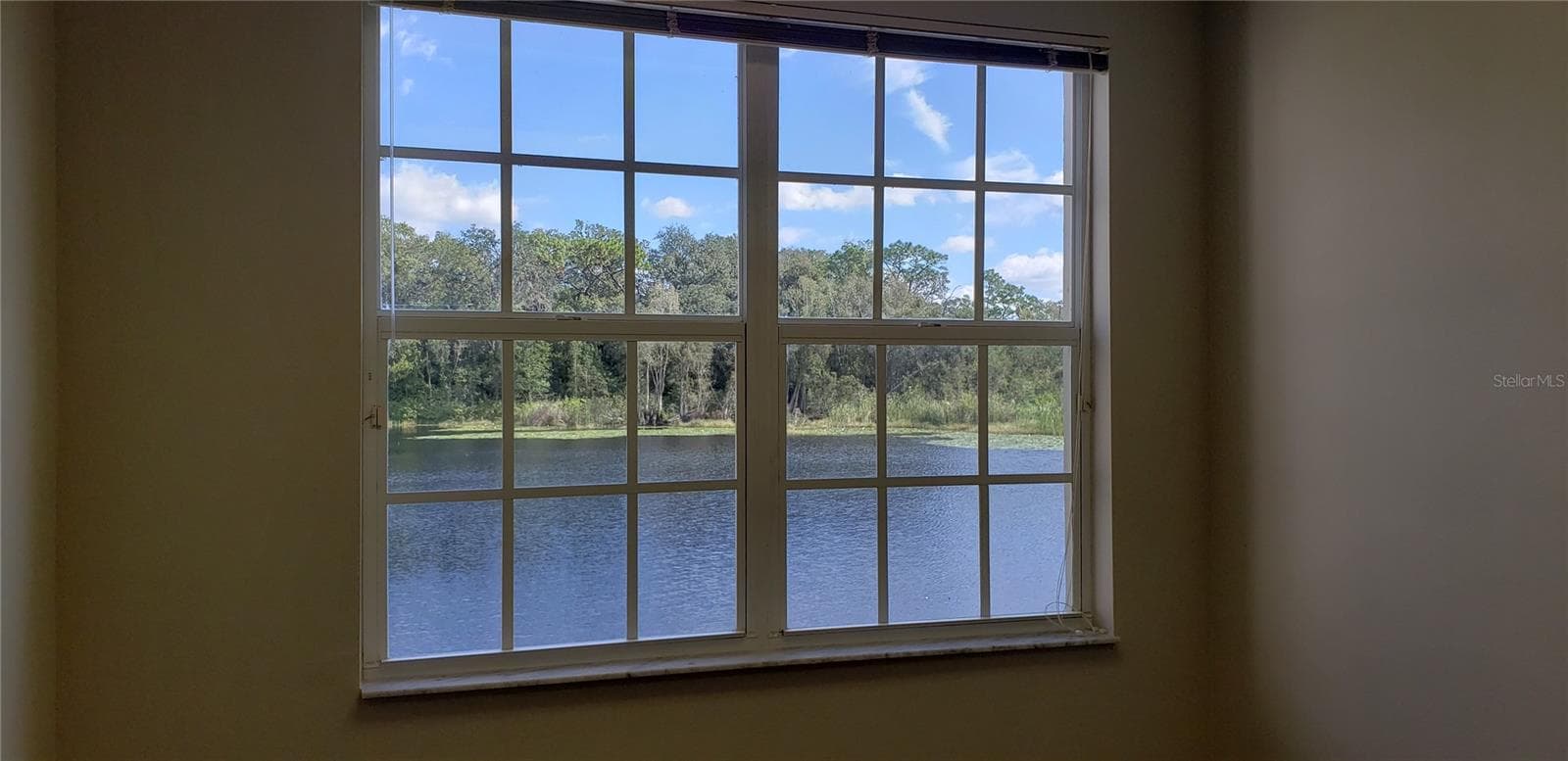 Office Waterfront View - 16013 N FLORIDA AVE, LUTZ