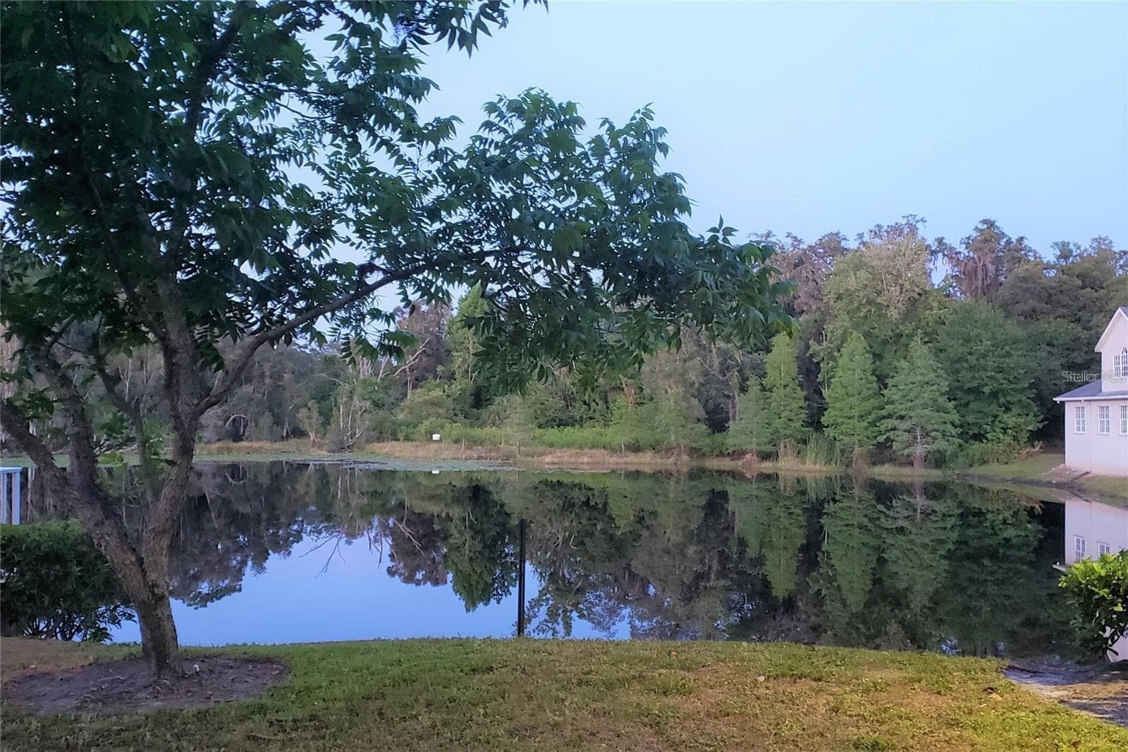 Lake - 16013 N FLORIDA AVE, LUTZ
