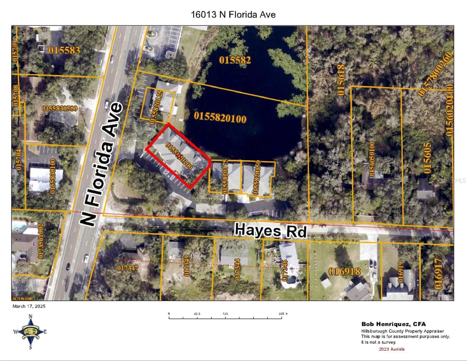 Aerial - 16013 N FLORIDA AVE, LUTZ