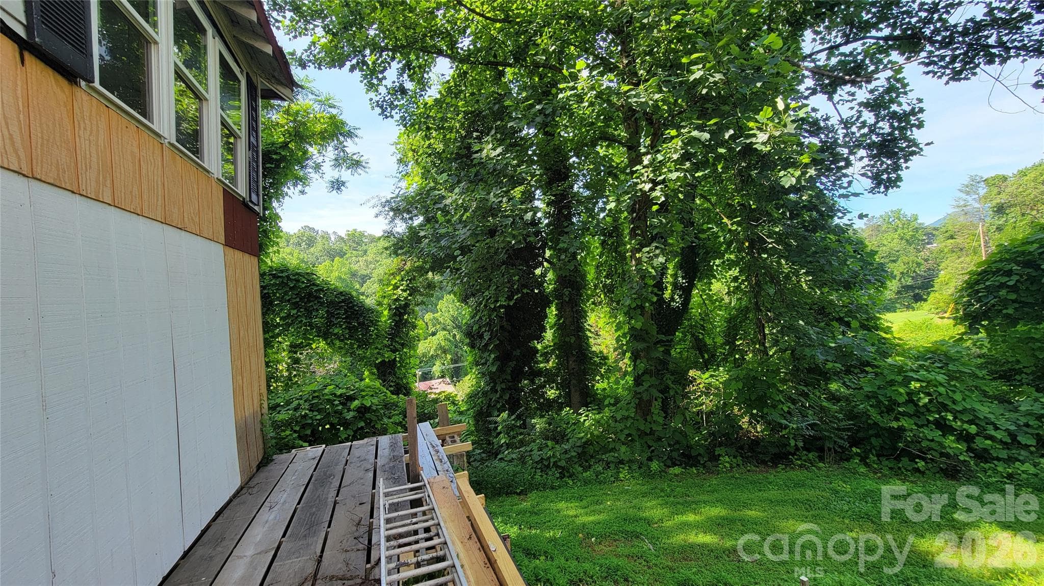 backyard from right of basement - 160 Cleveland Road, Tryon