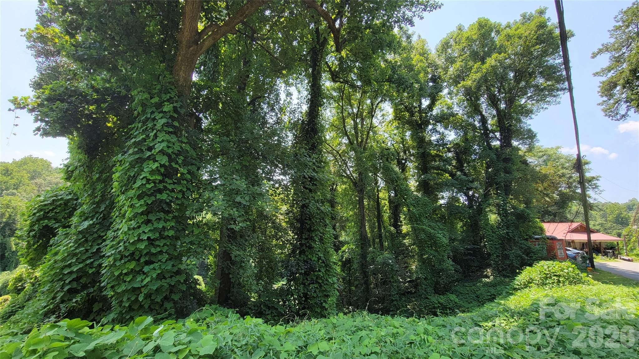 left lot - 160 Cleveland Road, Tryon