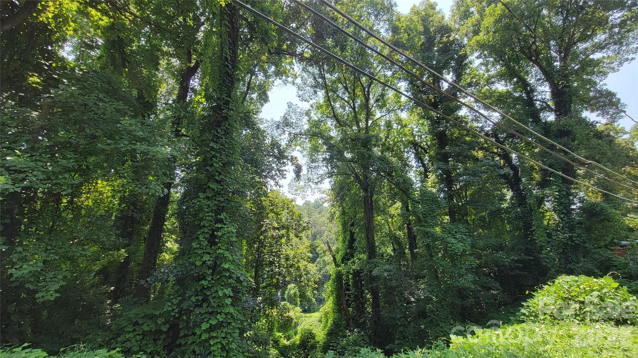 left lot - 160 Cleveland Road, Tryon