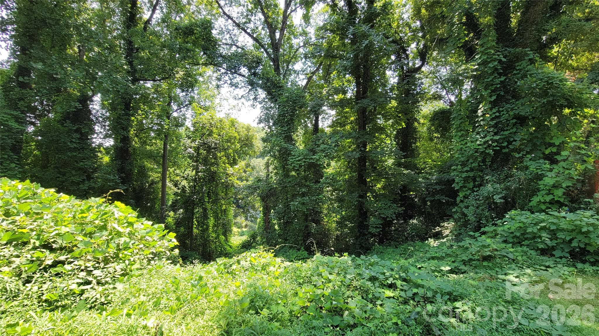 left lot - 160 Cleveland Road, Tryon
