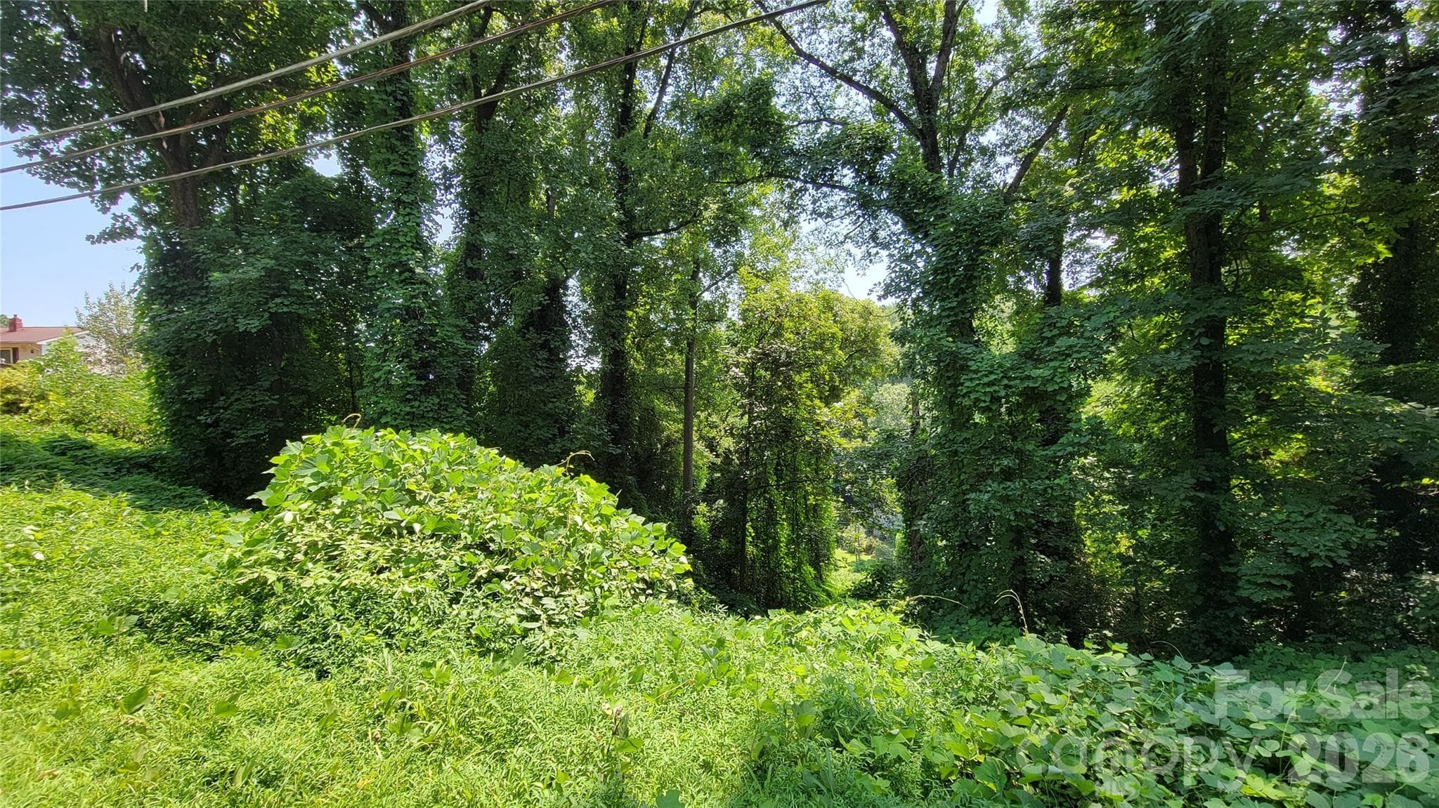 left lot - 160 Cleveland Road, Tryon