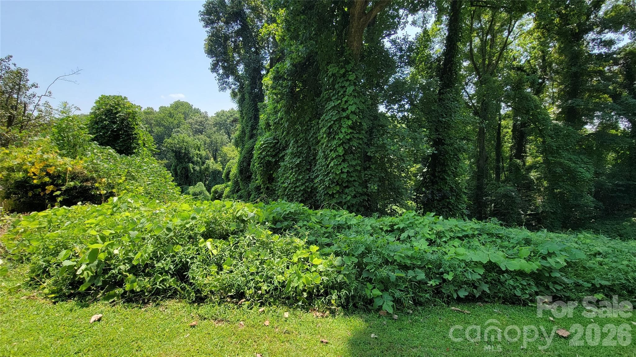 left lot - 160 Cleveland Road, Tryon