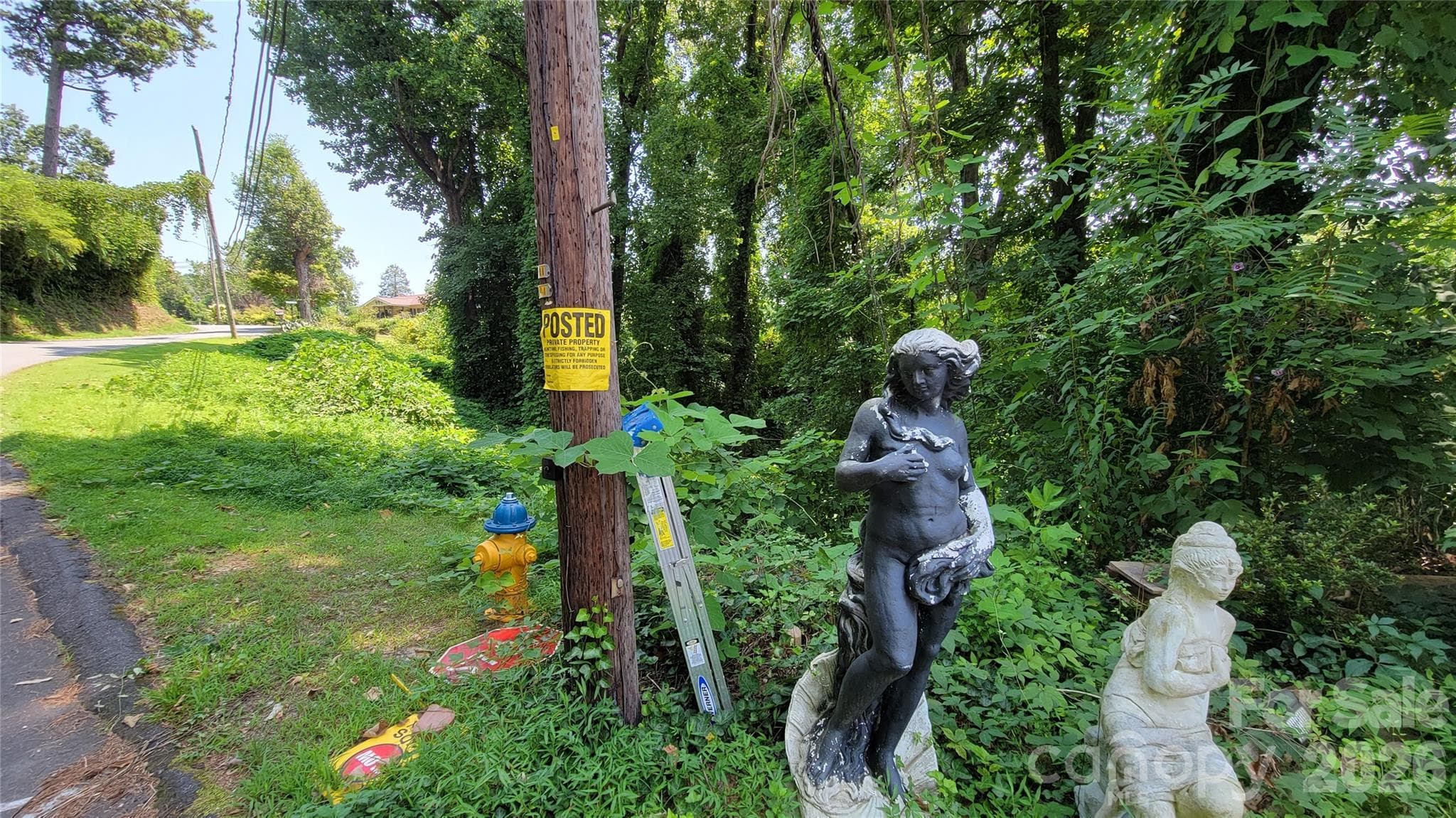 left lot - 160 Cleveland Road, Tryon