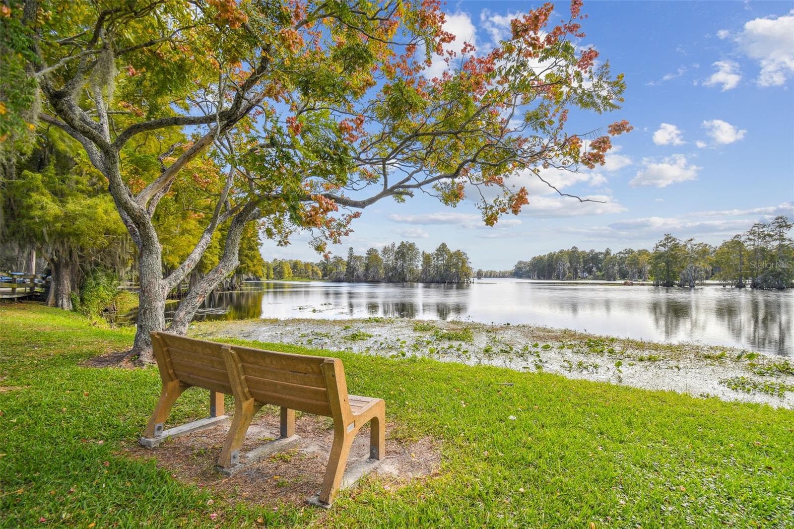 Riverhills Park - 308 BRENTWOOD DR, TEMPLE TERRACE