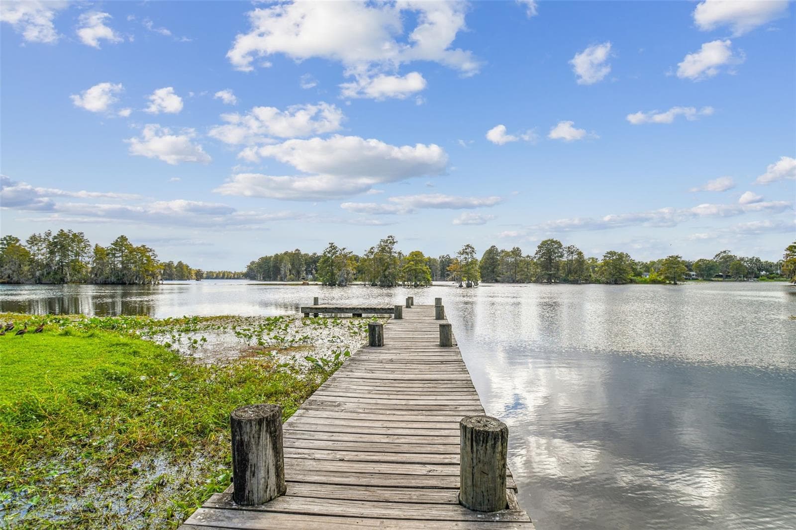 Riverhills Dock & Boat Launch - 308 BRENTWOOD DR, TEMPLE TERRACE