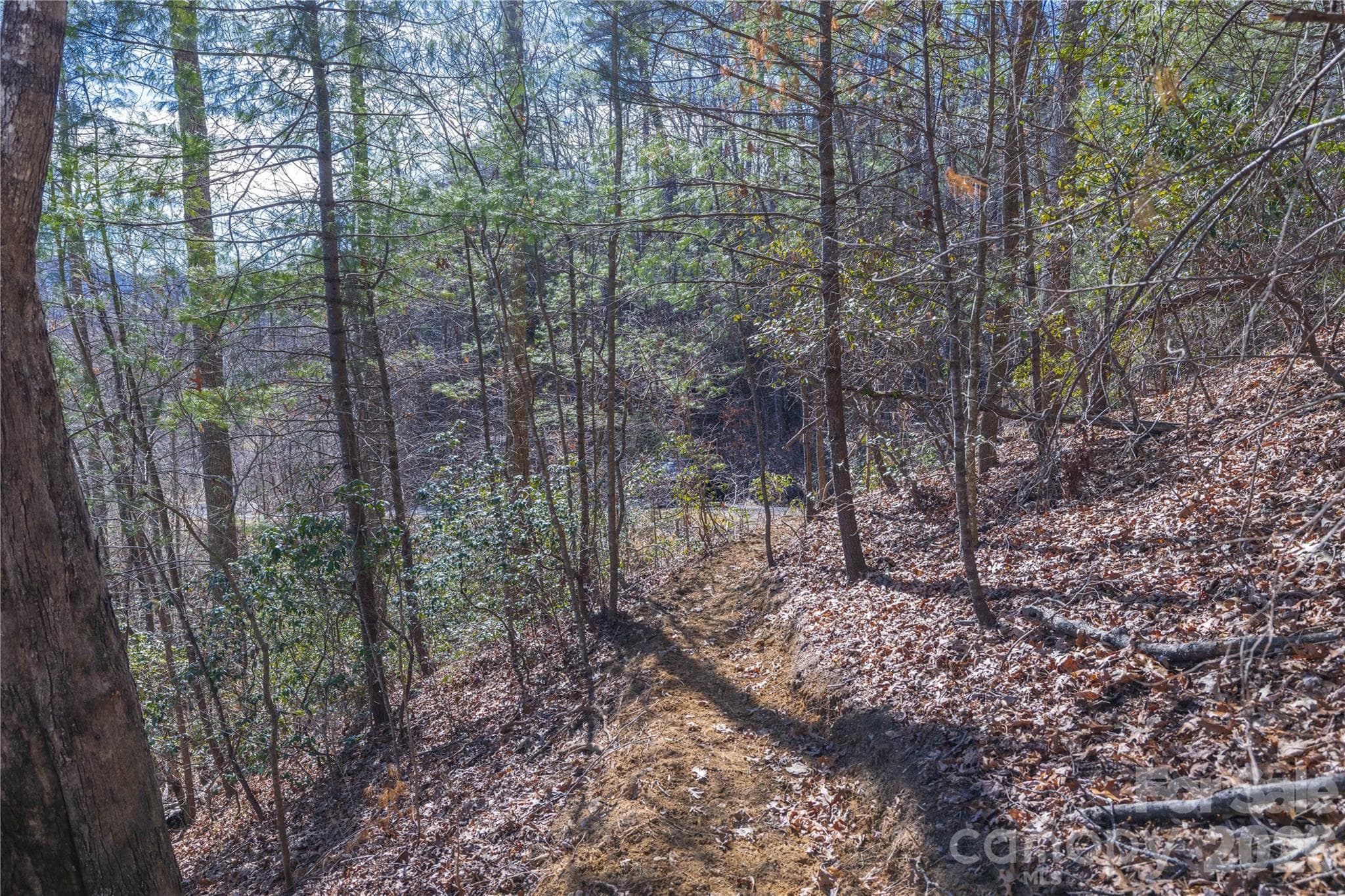 Lot at Brevard, photo 17 of 26