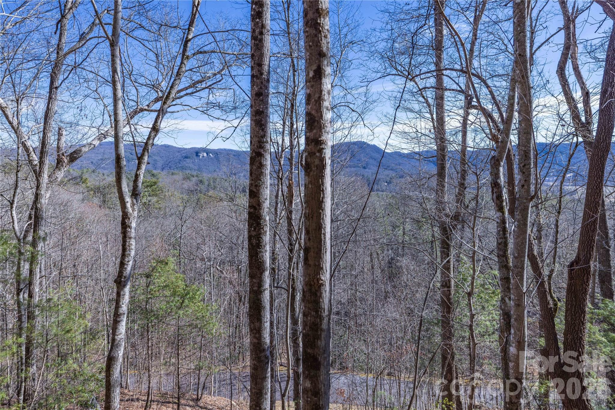 Lot at Brevard, photo 18 of 26