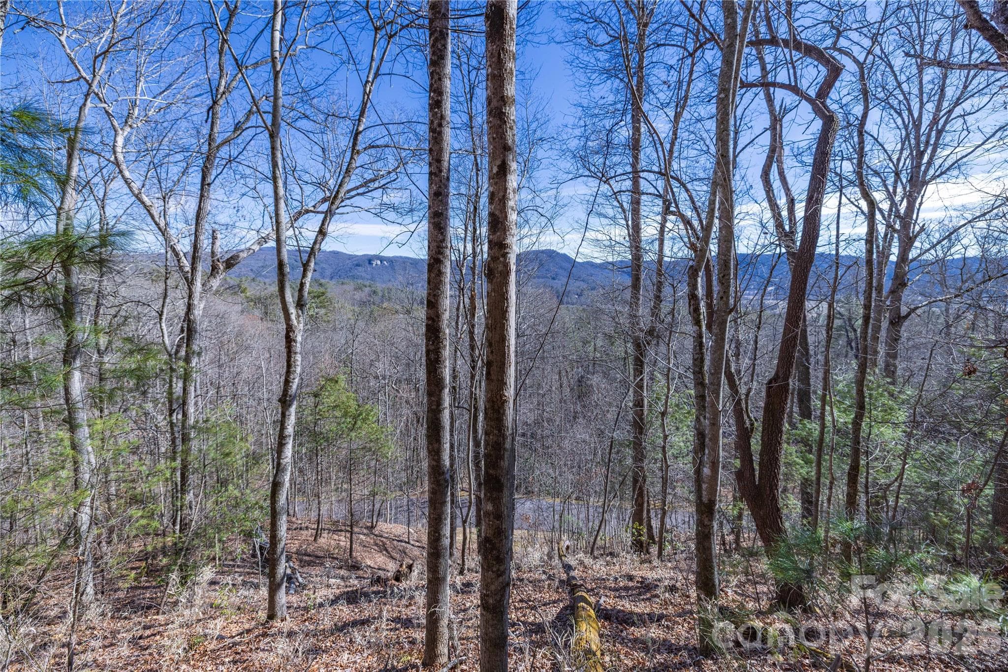 Lot at Brevard, photo 19 of 26