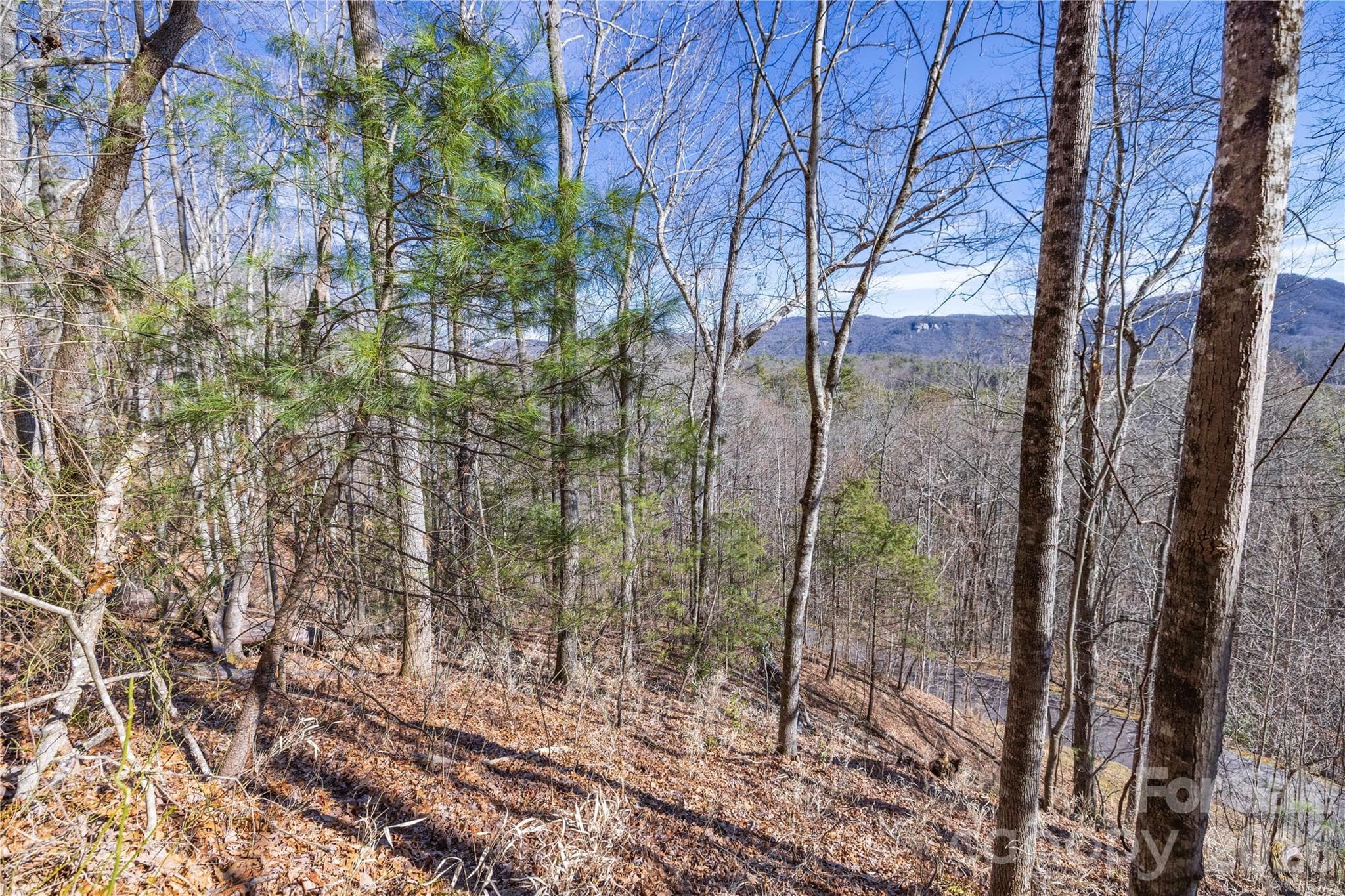 Lot at Brevard, photo 21 of 26