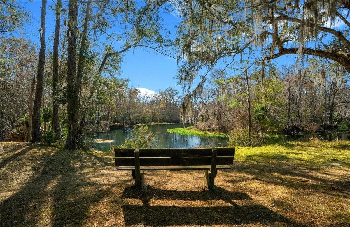 Land at 3259 NE 102ND AVENUE RD, SILVER SPRINGS, photo 75 of 99