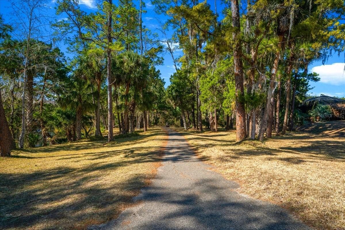 Hiking Trail - 3259 NE 102ND AVENUE RD, SILVER SPRINGS