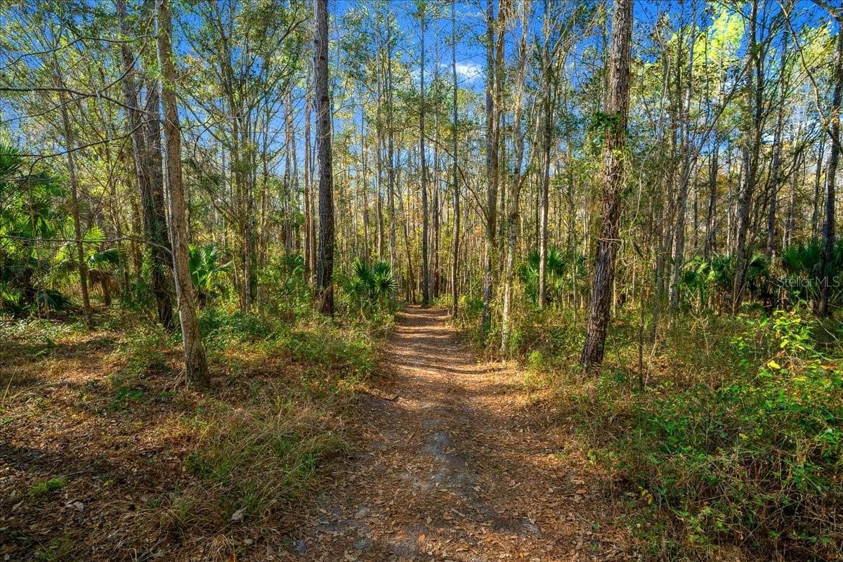 Hiking Trail - 3259 NE 102ND AVENUE RD, SILVER SPRINGS