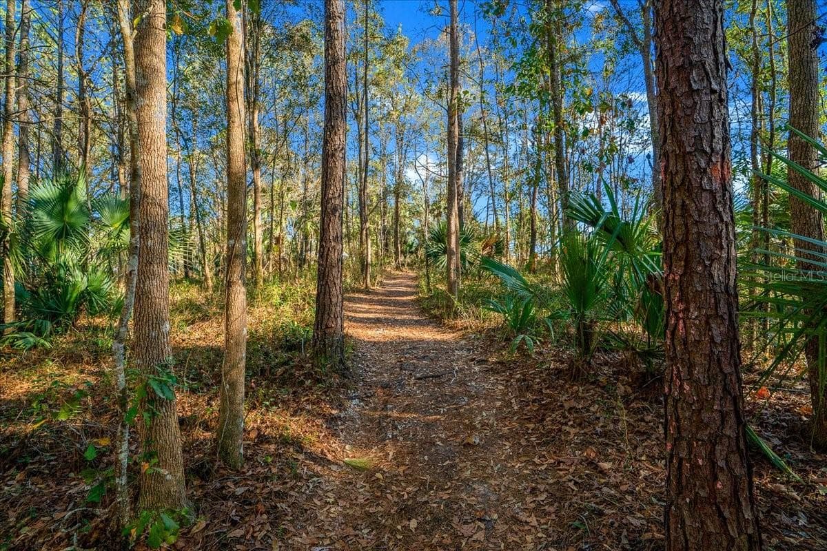 Hiking Trail - 3259 NE 102ND AVENUE RD, SILVER SPRINGS