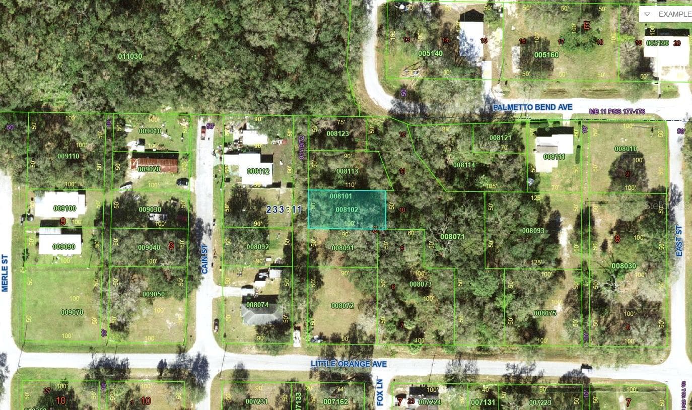 LITTLE ORANGE AVE