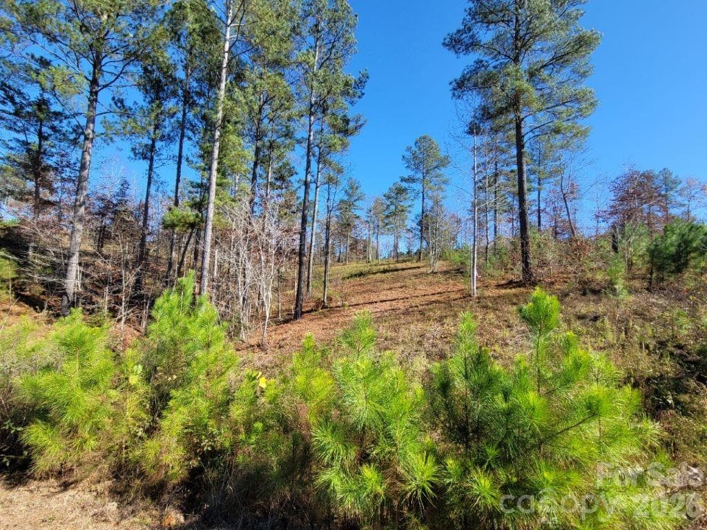 Lot at 2076 Island View Lane NE, Connelly Springs, photo 4 of 14