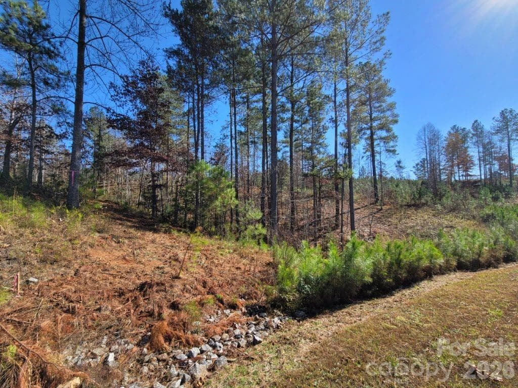 Lot at 2076 Island View Lane NE, Connelly Springs, photo 5 of 14