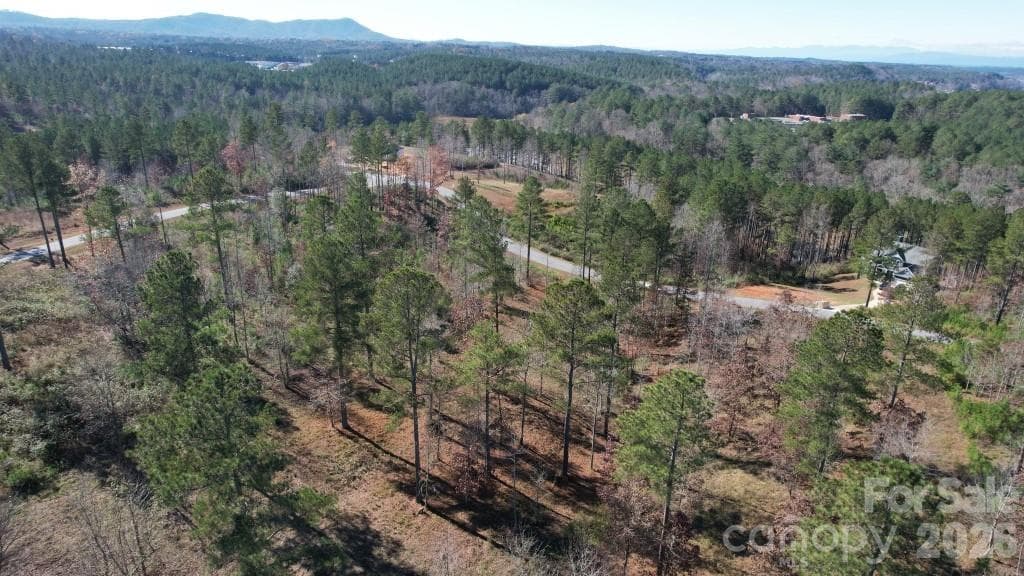 Lot at 2076 Island View Lane NE, Connelly Springs, photo 8 of 14
