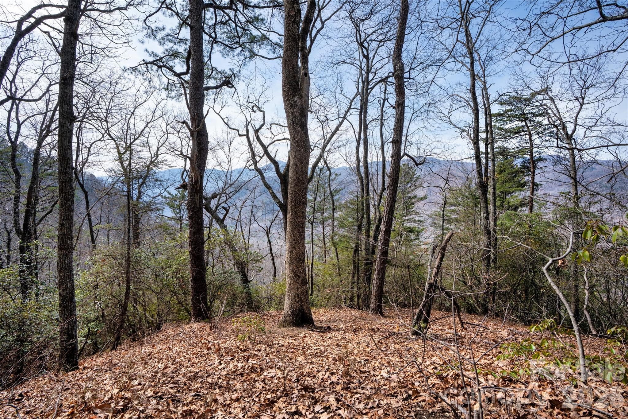 Lot at 0 Rachel Ridge, Lake Lure, photo 2 of 24