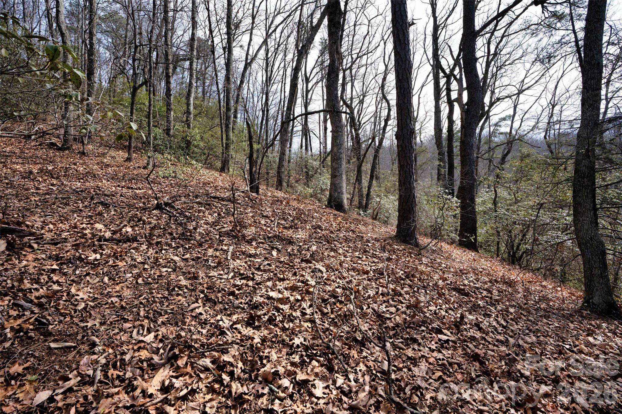Lot at 0 Rachel Ridge, Lake Lure, photo 12 of 24