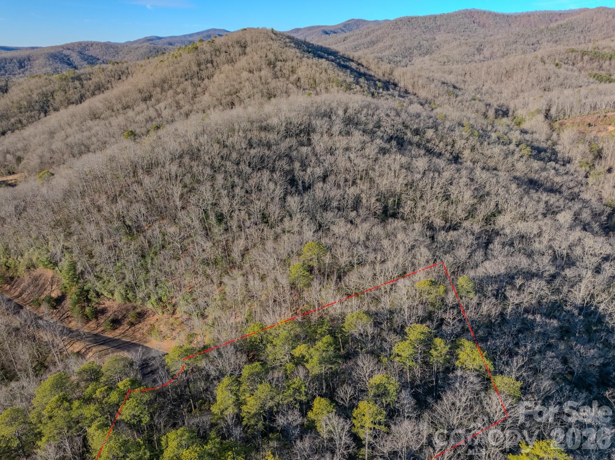 Lot at 1647 Mills River Way, Horse Shoe, photo 8 of 40