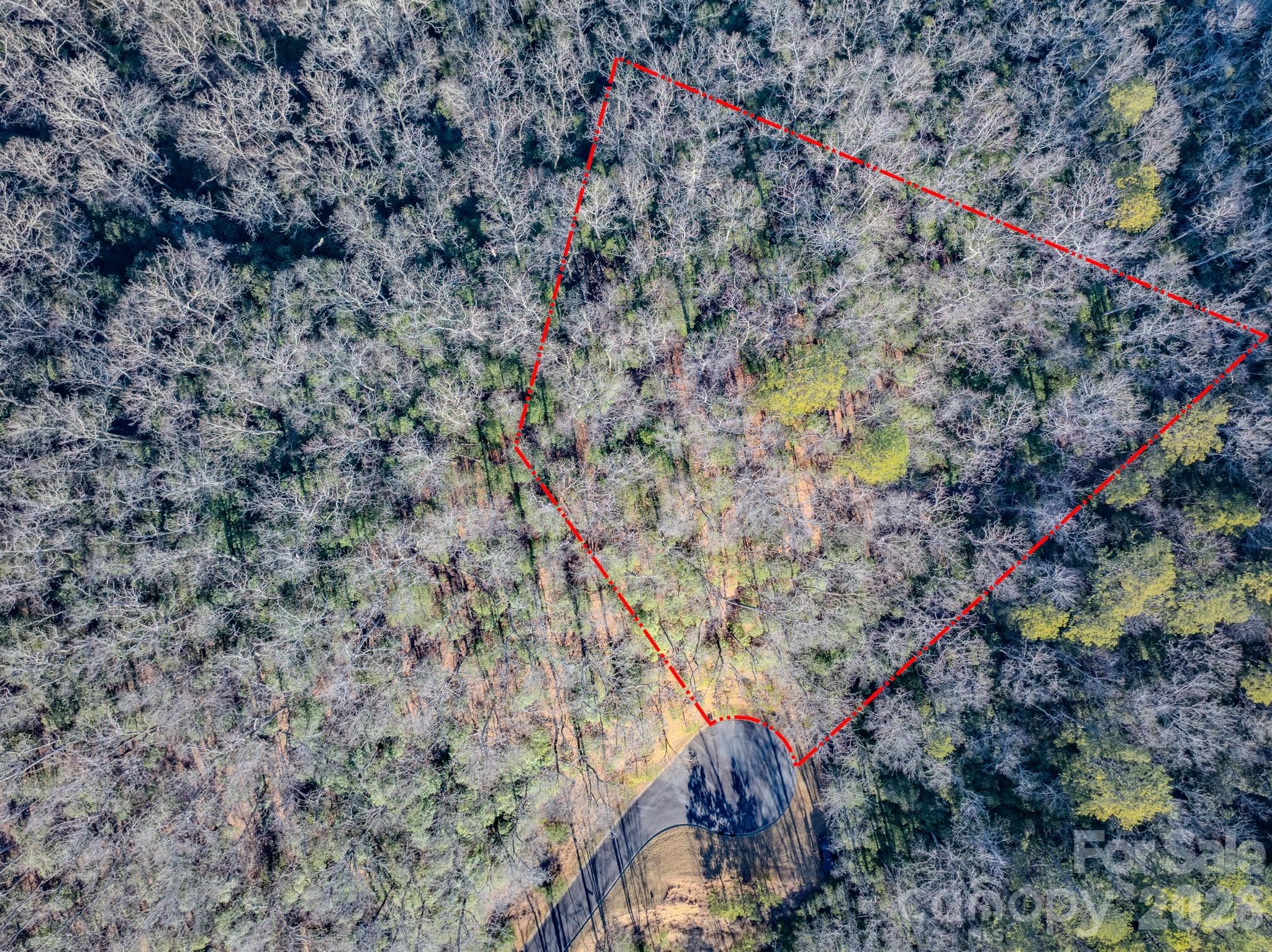 Lot at 1647 Mills River Way, Horse Shoe, photo 18 of 40