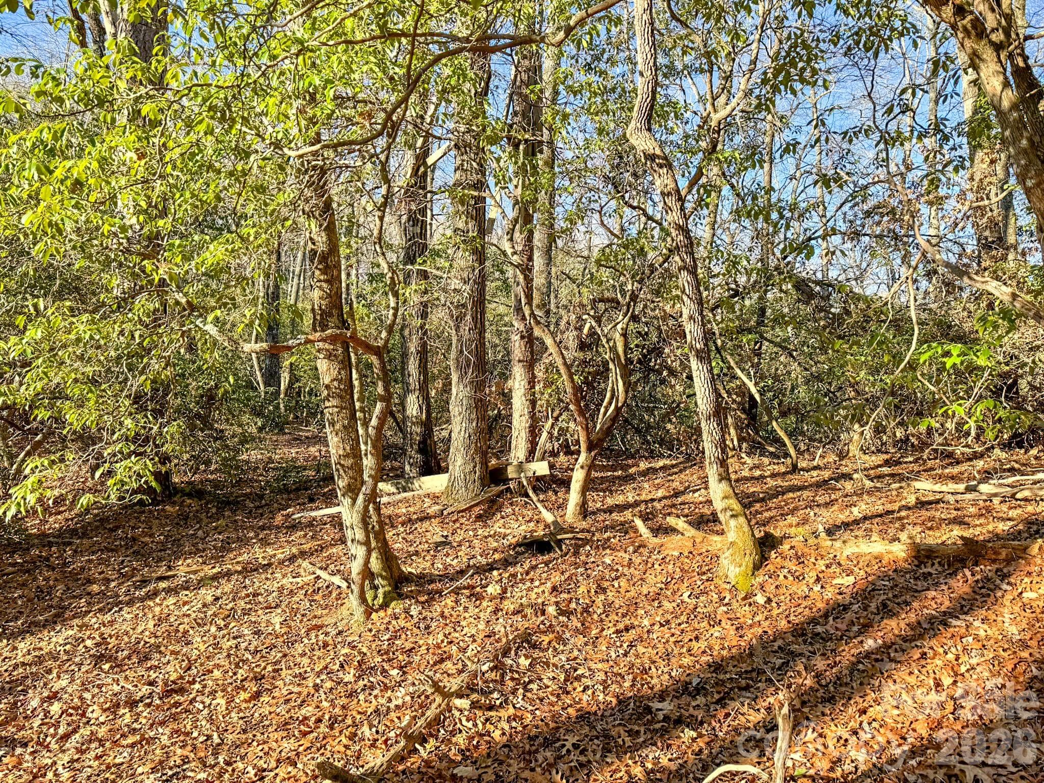 Lot at 1647 Mills River Way, Horse Shoe, photo 3 of 40
