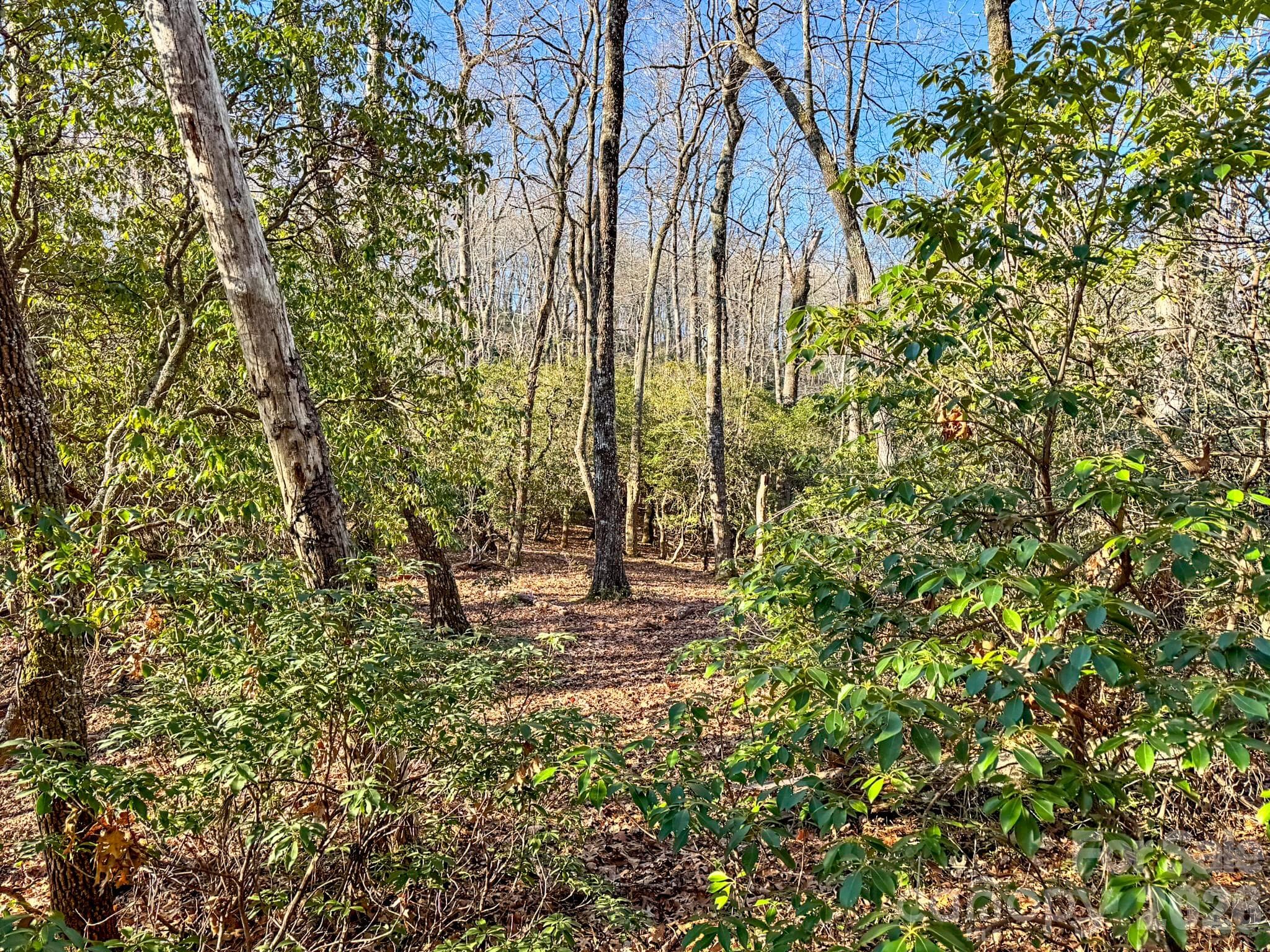 Lot at 1647 Mills River Way, Horse Shoe, photo 5 of 40