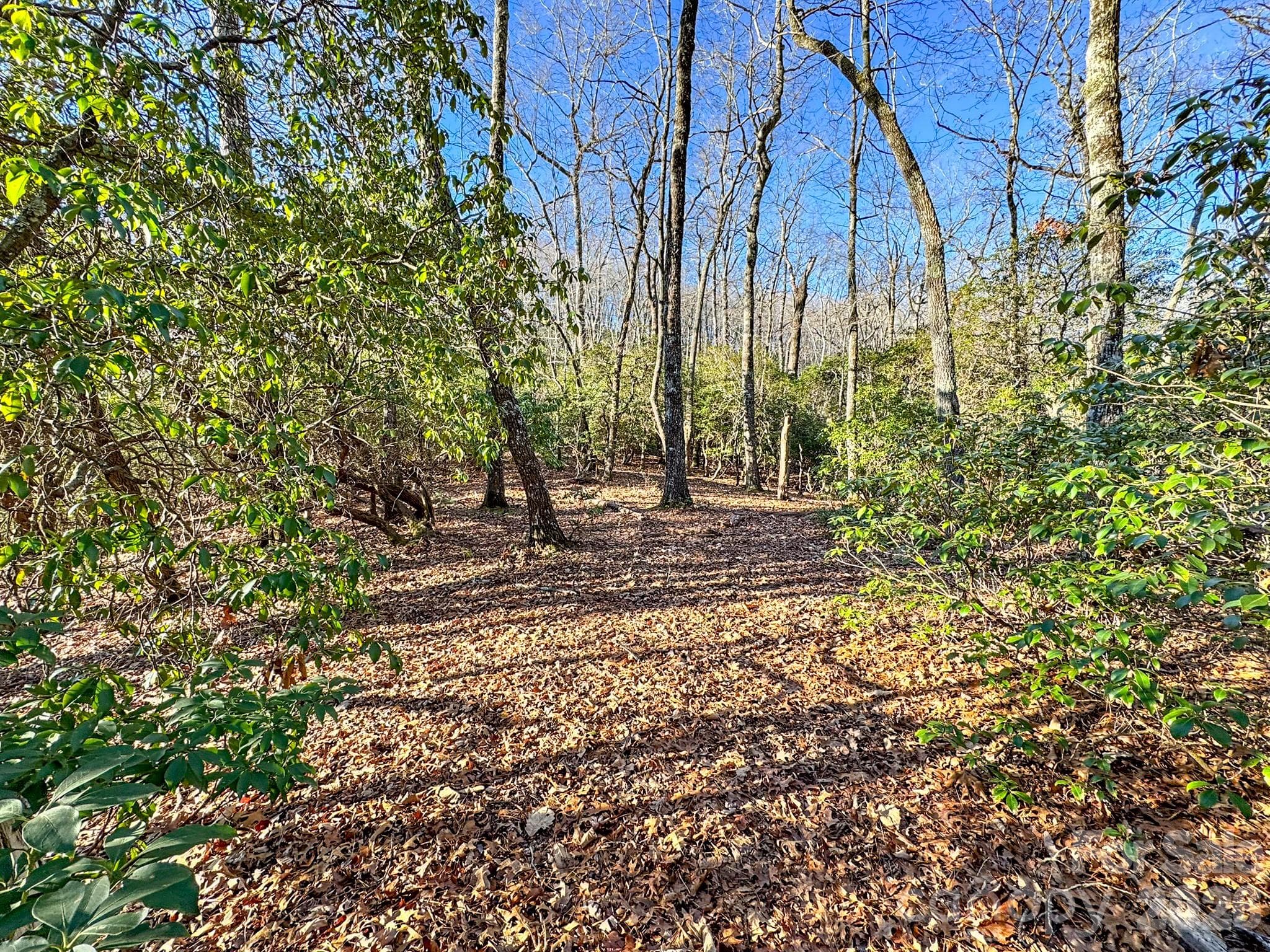 Lot at 1647 Mills River Way, Horse Shoe, photo 7 of 40